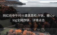 网红在中午时分遭遇真相 炸锅，糖心vlog全网炸锅，详情点击