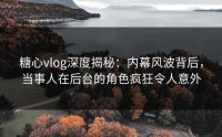 糖心vlog深度揭秘：内幕风波背后，当事人在后台的角色疯狂令人意外