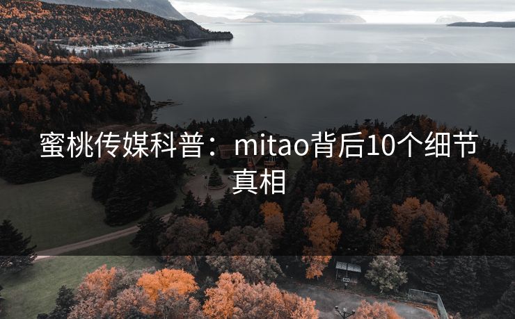 蜜桃传媒科普:mitao背后10个细节真相 蜜桃传媒科普:mitao背后10个细节真相