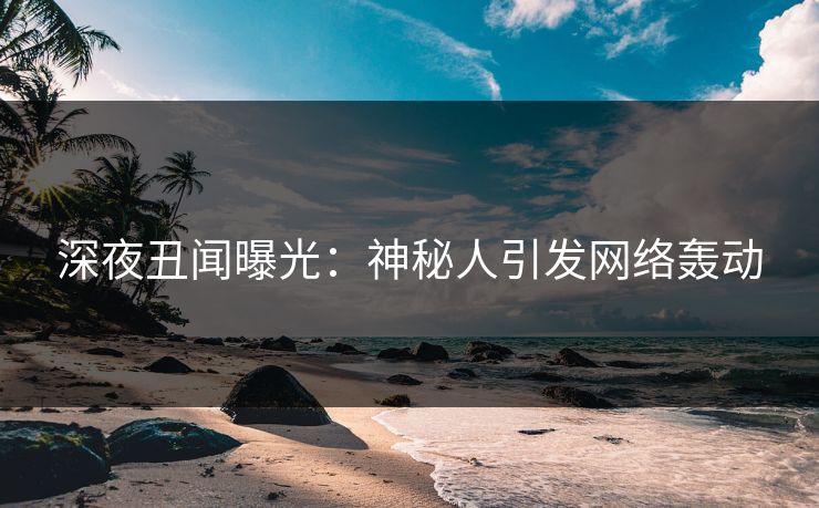 深夜丑闻曝光：神秘人引发网络轰动