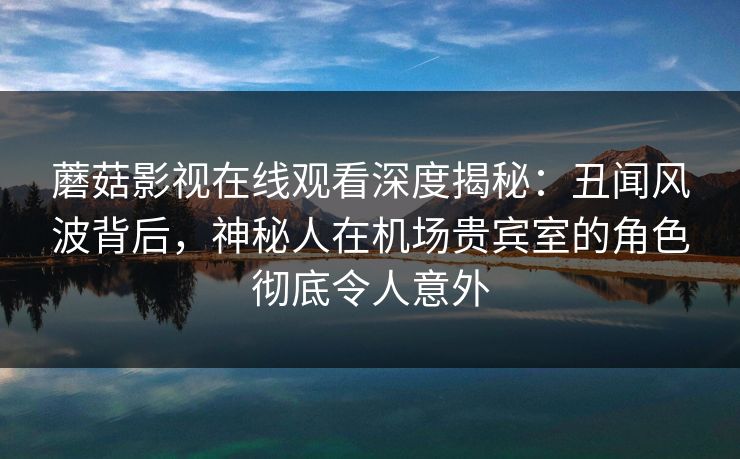 蘑菇影视在线观看深度揭秘：丑闻风波背后，神秘人在机场贵宾室的角色彻底令人意外